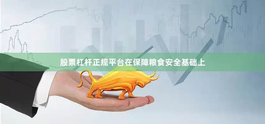 股票杠杆正规平台在保障粮食安全基础上
