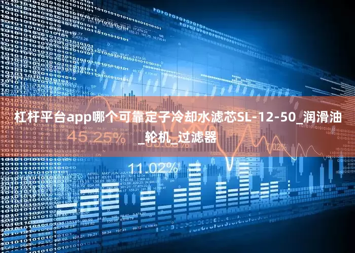 杠杆平台app哪个可靠定子冷却水滤芯SL-12-50_润滑油_轮机_过滤器