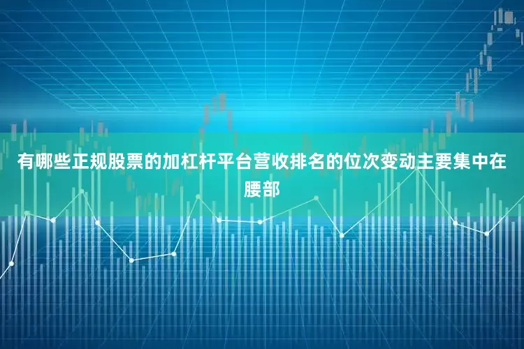 有哪些正规股票的加杠杆平台营收排名的位次变动主要集中在腰部